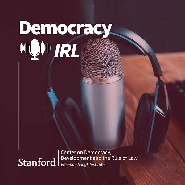 Democracy IRL Podcast Artwork Image