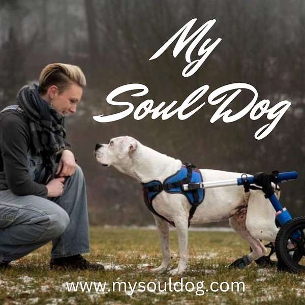 My Soul Dog Podcast Artwork Image