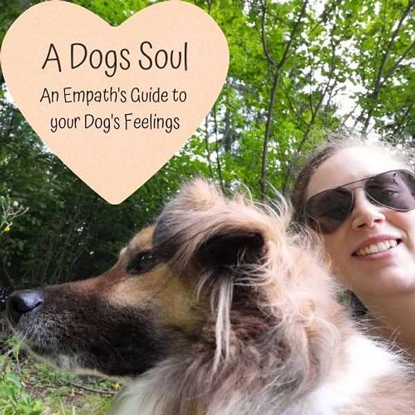 A Dog's Soul - An Empath's Guide to your Dog's Feelings Podcast Artwork Image