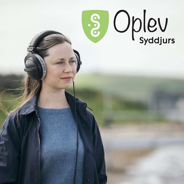 Oplev Syddjurs - en kulturpodcast Podcast Artwork Image