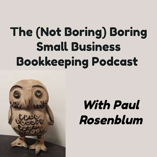The (Not Boring) Boring Small Business Bookkeeping and Accounting Podcast Podcast Artwork Image