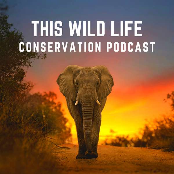 This Wild Life Conservation Podcast Podcast Artwork Image
