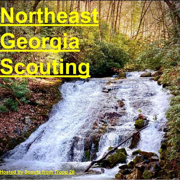 Northeast Georgia Scouting Podcast Artwork Image