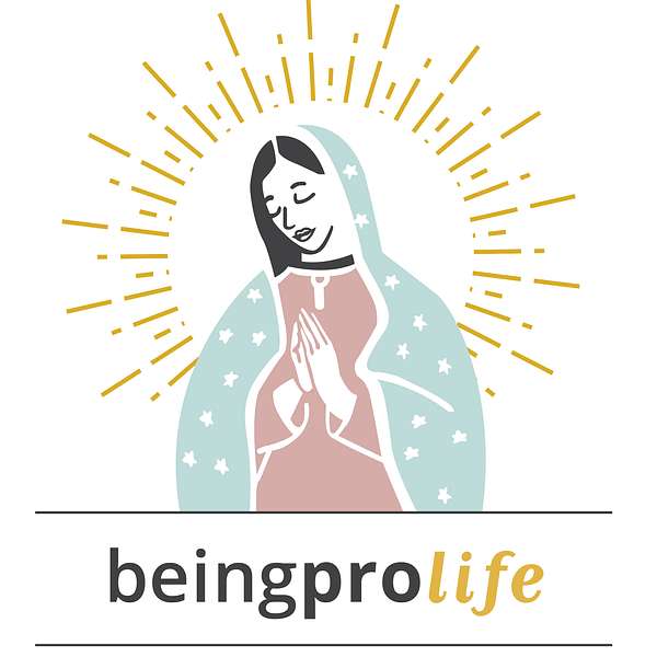 Being Pro Life Podcast Artwork Image