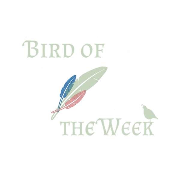 Bird of the Week Podcast Artwork Image
