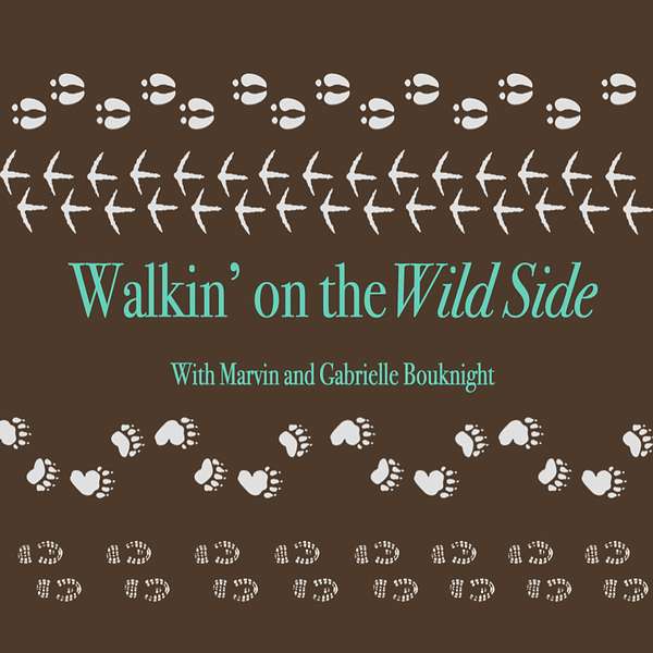Walkin' on the Wild Side Podcast Artwork Image