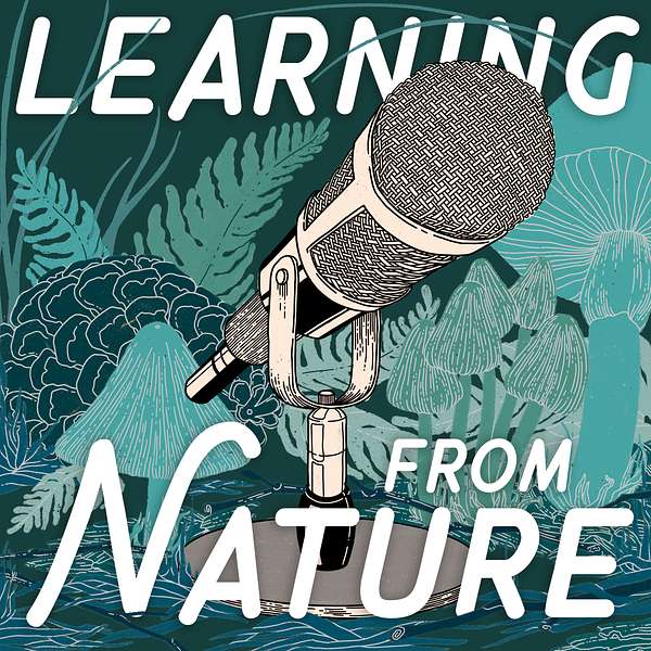 Learning from Nature: The Biomimicry Podcast with Lily Urmann Podcast Artwork Image