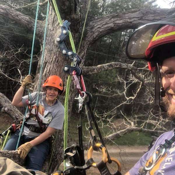 Canopy Insider with Almon and Carolina from Beast Coast Tree Climbers Podcast Artwork Image