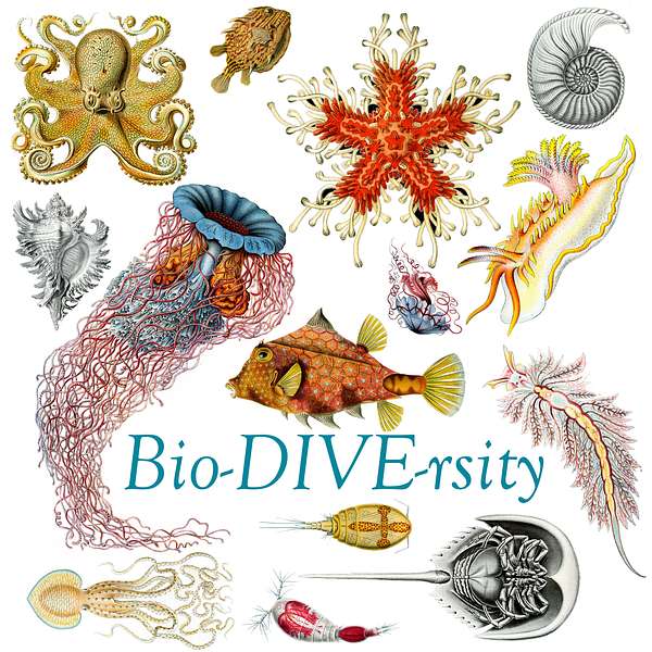 Bio-DIVE-rsity Podcast Artwork Image