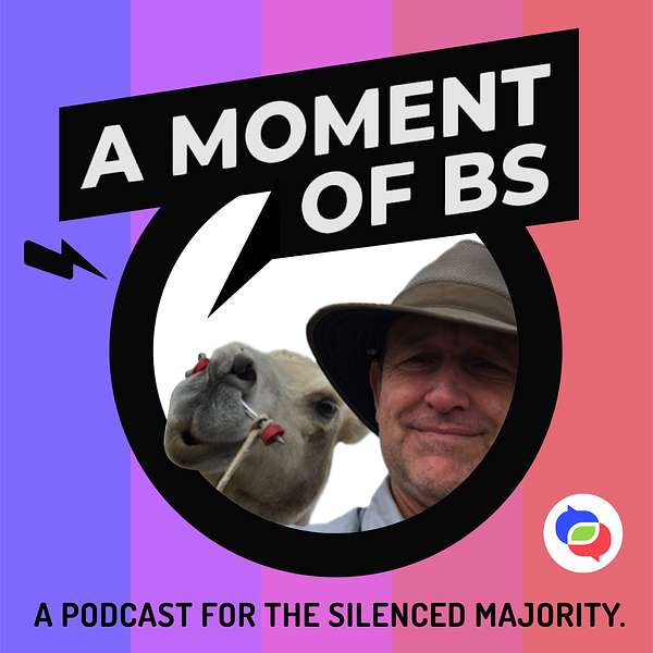 A Moment of BS: Bill Shireman Disrupts the Dividers Podcast Artwork Image