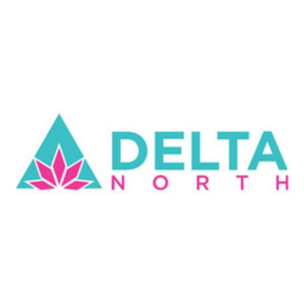 Delta North Podcast Artwork Image