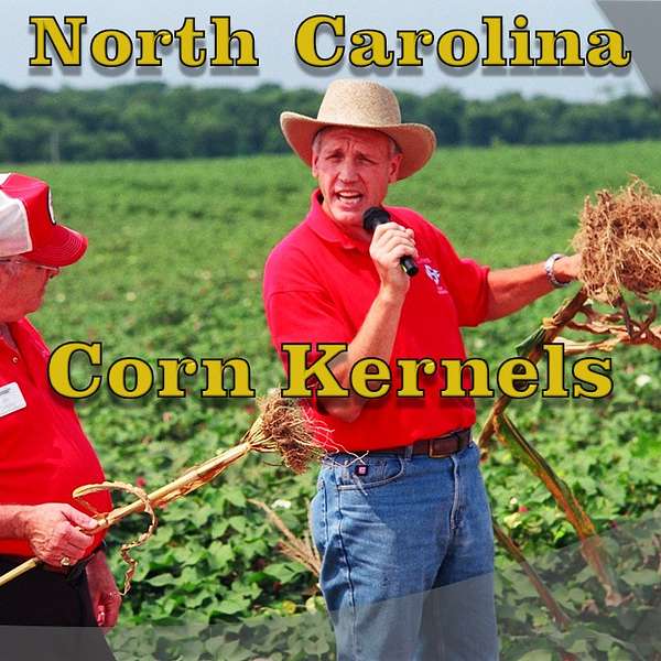 North Carolina Corn Kernels Podcast Artwork Image