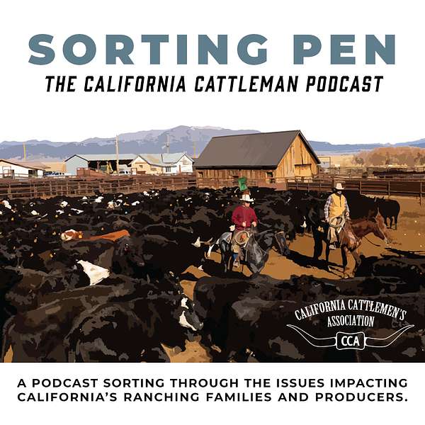 Sorting Pen: The California Cattleman Podcast Podcast Artwork Image