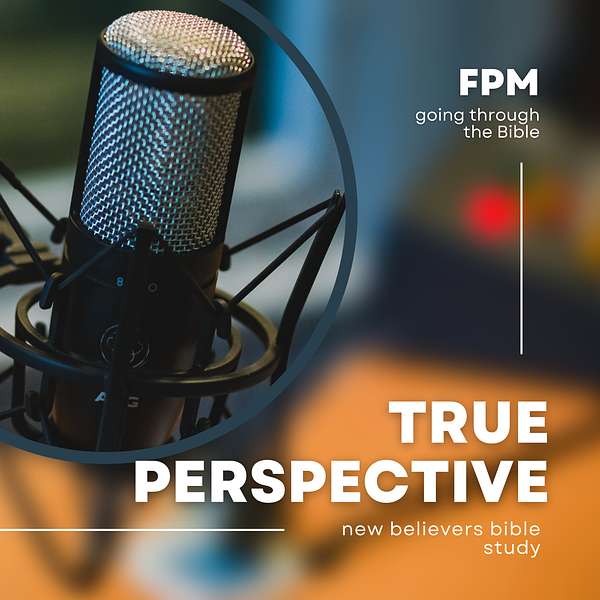 true perspective  Bible podcast  Podcast Artwork Image