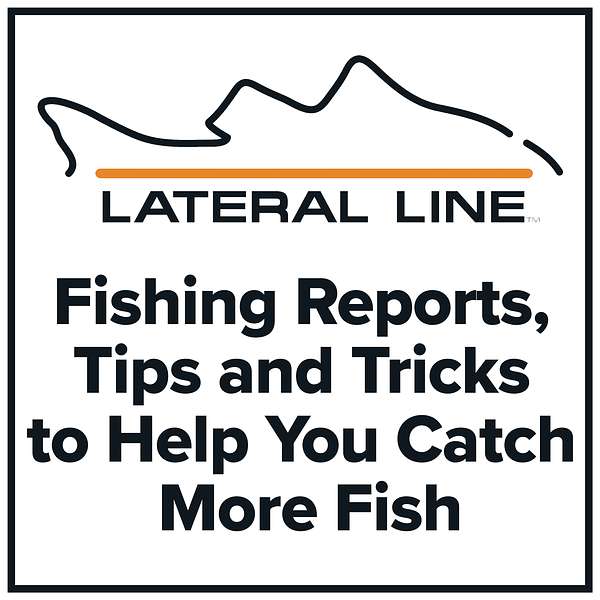 Fishing Reports by Lateral Line Fishing Journal Podcast Artwork Image