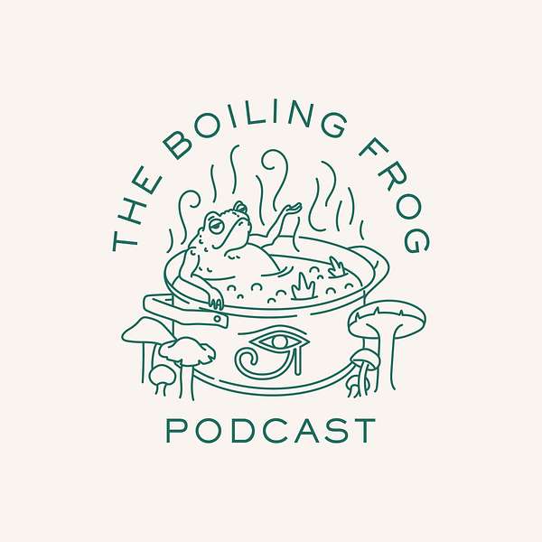 The Boiling Frog Podcast Podcast Artwork Image