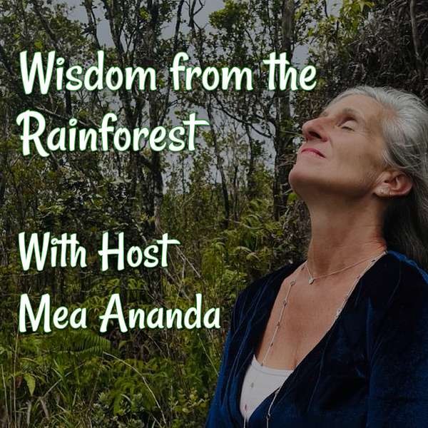 Wisdom from the Rainforest Podcast Artwork Image