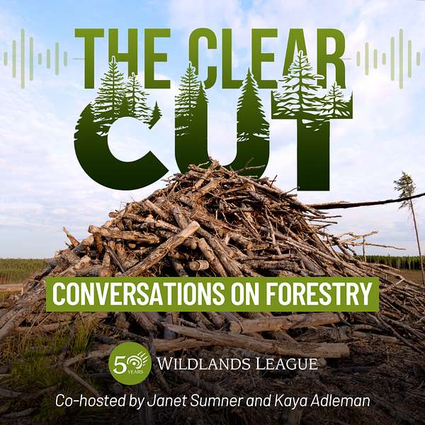 The Clear Cut Podcast Artwork Image