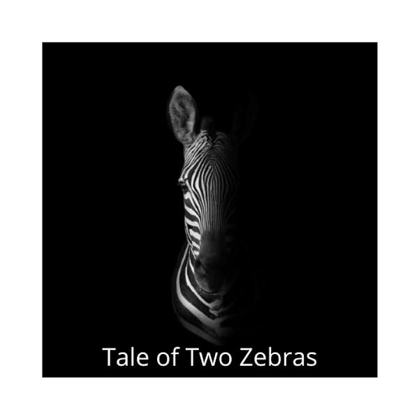 Tale of Two Zebras Podcast Artwork Image