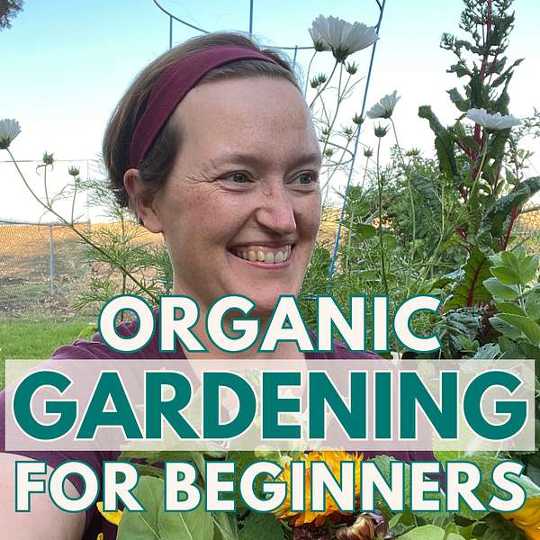 Organic Gardening For Beginners: Tips To Plan And Grow Your Own Productive Garden Podcast Artwork Image