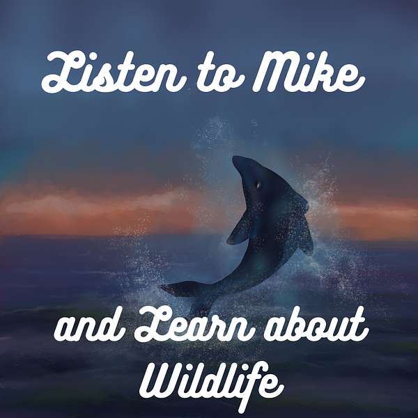 Listen To Mike and Learn About Wildlife Podcast Artwork Image