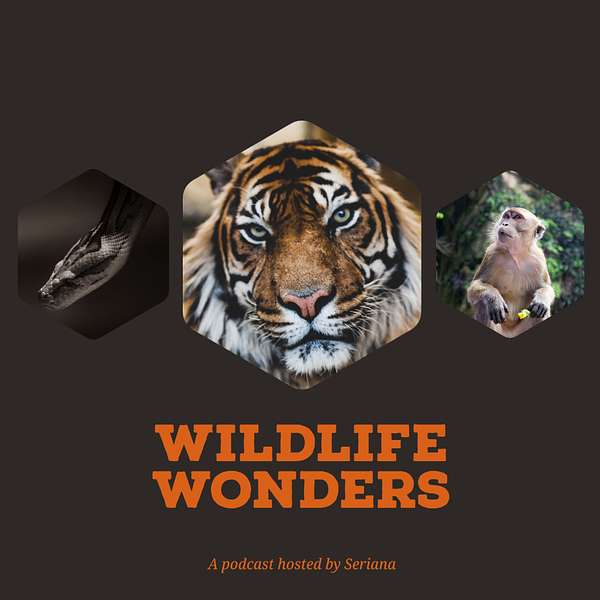 Wildlife Wonders  Podcast Artwork Image