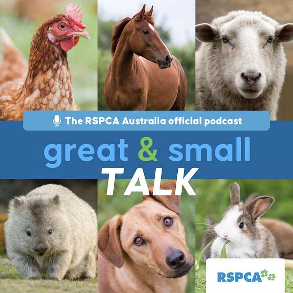 RSPCA Australia's Great & Small Talk Podcast Artwork Image