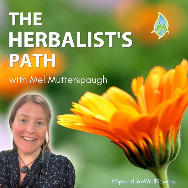 The Herbalist's Path Podcast Artwork Image