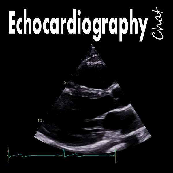 Echocardiography Chat Podcast Artwork Image