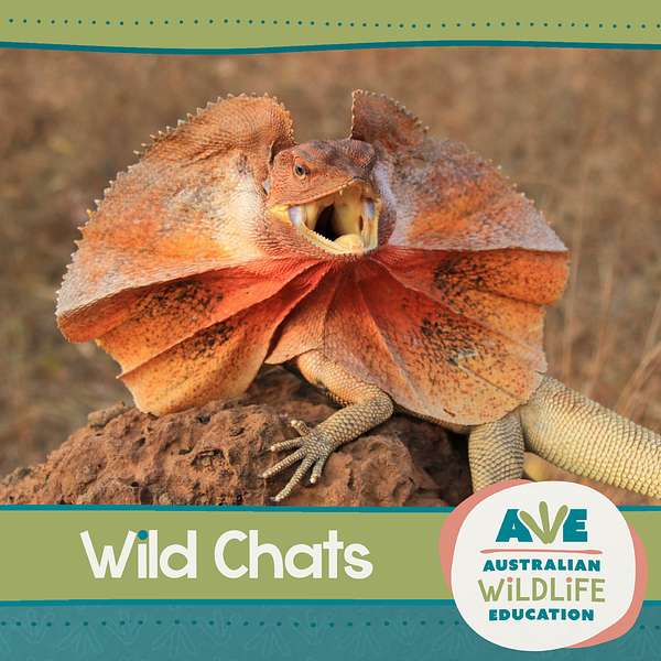 Australian Wildlife Education: Wild Chats Podcast Artwork Image