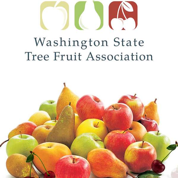 Bearing Fruit: A Podcast from the Washington State Tree Fruit Association (WSTFA) Podcast Artwork Image