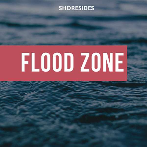 Flood Zone Podcast Artwork Image