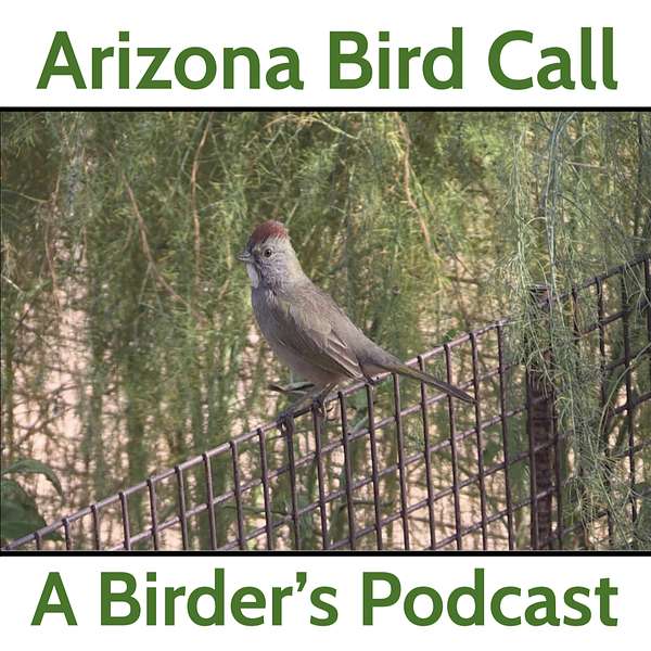 Arizona Bird Call Podcast Artwork Image