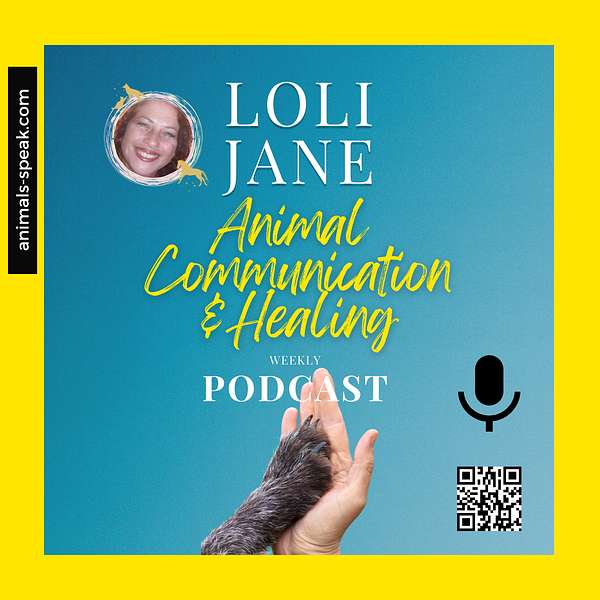 Loli Jane Animal Communication & Healing Podcast Artwork Image