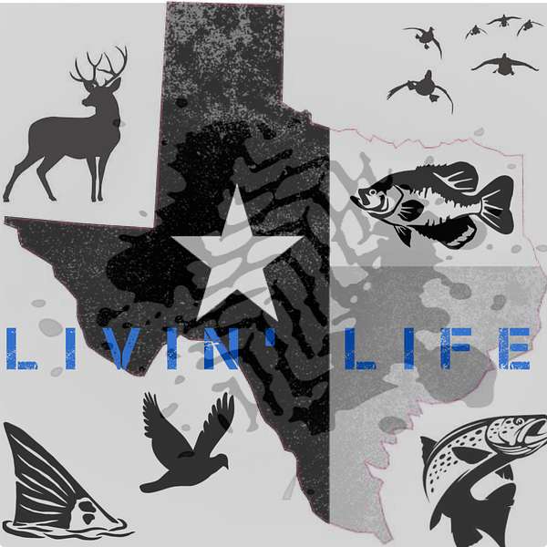 Livin' Life Podcast Artwork Image