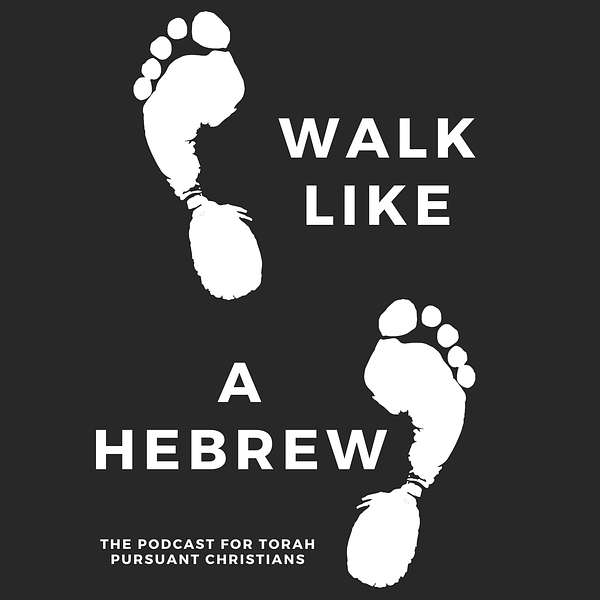 Walk Like a Hebrew Podcast Artwork Image