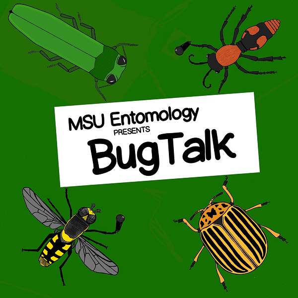 Bug Talk Podcast Artwork Image