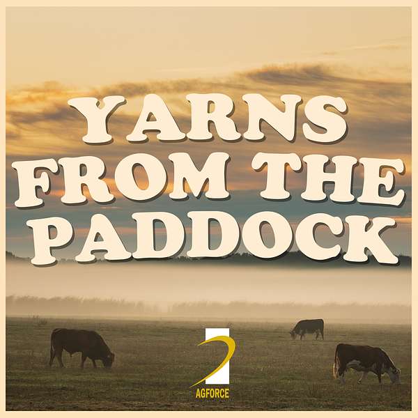 Yarns From the Paddock Podcast by AgForce Queensland Podcast Artwork Image