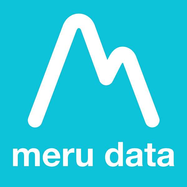 Meru Data's Podcast Podcast Artwork Image