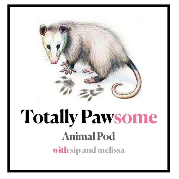Totally Pawsome Pod Podcast Artwork Image