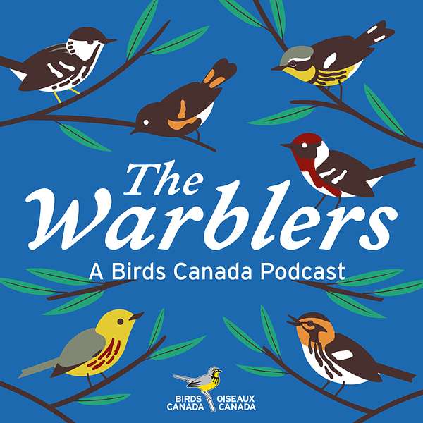 The Warblers by Birds Canada  Podcast Artwork Image