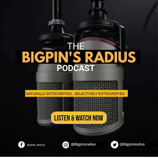 Bigpin's Radius  Podcast Artwork Image