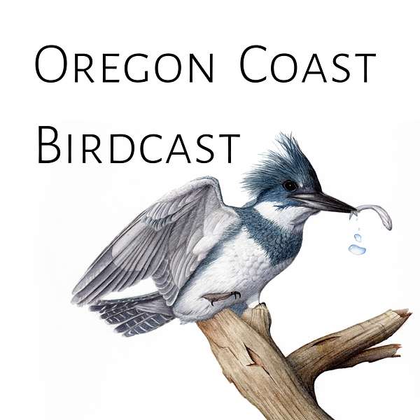 Oregon Coast Birdcast Podcast Artwork Image