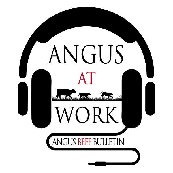 Angus at Work Podcast Artwork Image