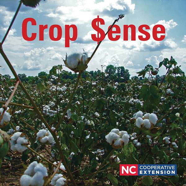 Crop Sense Podcast Artwork Image