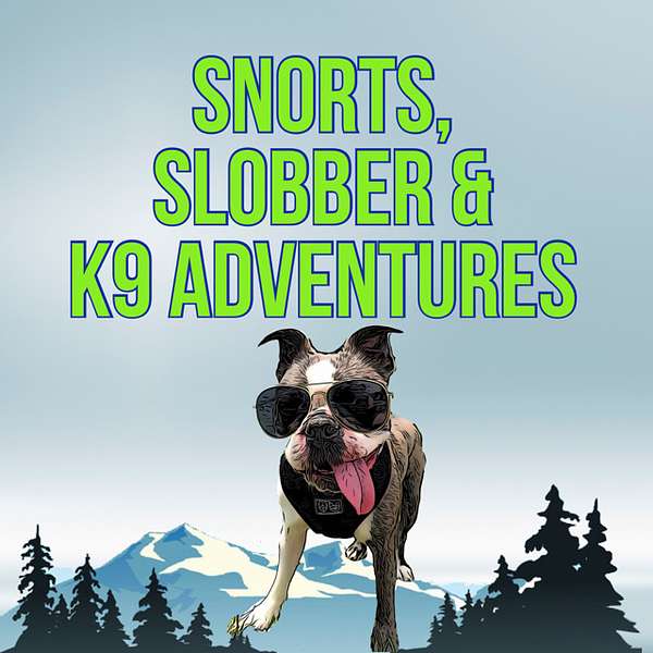 Snorts, Slobber & K9 Adventures Podcast Artwork Image