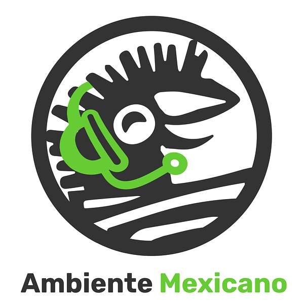 Ambiente Mexicano http://www.regalos-artesanales.com.mx Podcast Artwork Image
