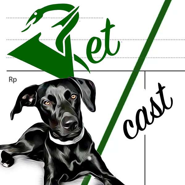 VetCast Podcast Artwork Image
