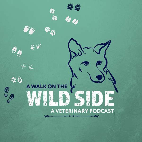 A Walk on the Wild Side: A Veterinary Podcast Podcast Artwork Image