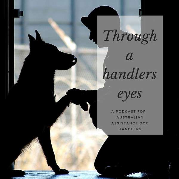 Through a handlers eyes. Podcast Artwork Image